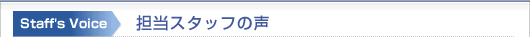 担当スタッフの声